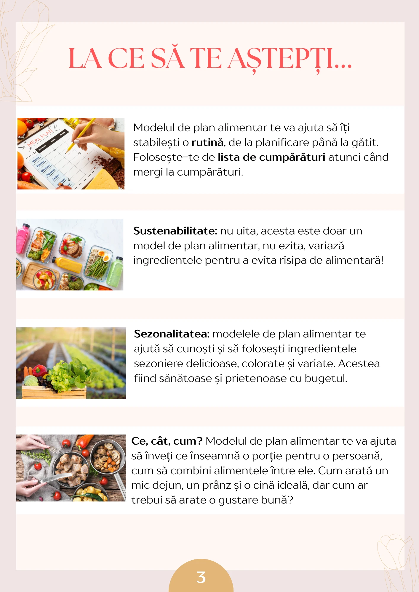Model de plan alimentar - Ediția de primăvară - imagine 2